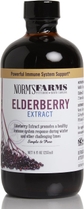 American Elderberry